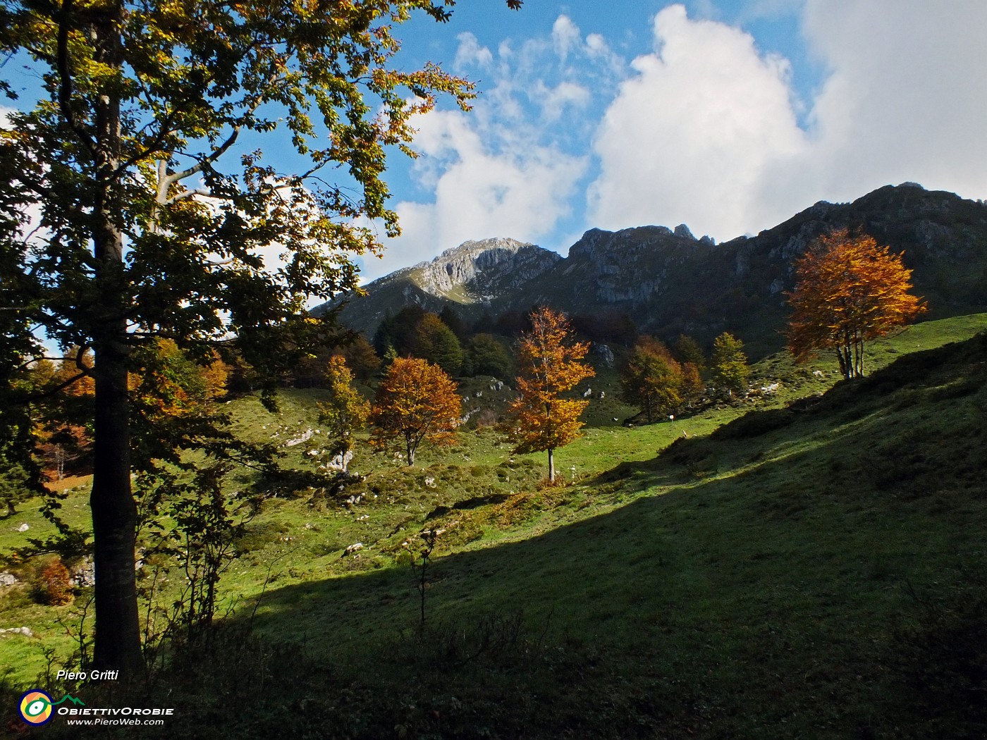 44 Pianoro alla Cascina dei Foppi (1600 m).JPG